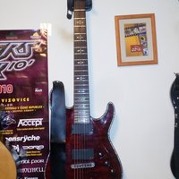 Ukážka z obrázkov v albume Gitary