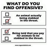 Which one is actually offensive and violent?