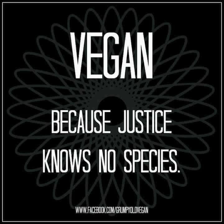 Vegan, pretože spravodlivosť nič také, ako druh nepozná.