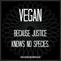 Vegan, pretože spravodlivosť nič také, ako druh nepozná.