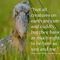 Nie všetky tvory na zemi sú roztomilé a maznavé, avšak majú rovnaké právo tu byť, ako ty a ja.