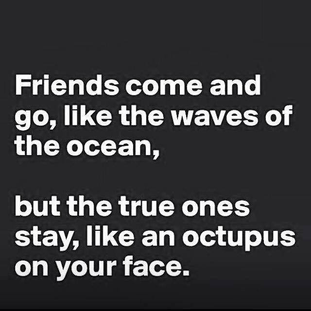 Priatelia prichádzaju a odchádzajú, ako vlny na oceáne, ale tí praví zostanú, ako chobotnica na Tvojom ksichte. :D