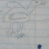 Moja kresbička kačičky á la Fincent Fan Gogh ňuňuňu