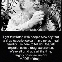 Som tu preto, aby som vám povedal, že všetka skúsenosť je drogová skúsenosť. Sme na drogách neustále, zväčša preto, že sme z drog zložení. 