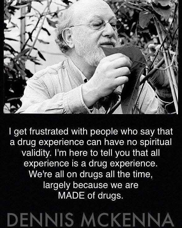 Som tu preto, aby som vám povedal, že všetka skúsenosť je drogová skúsenosť. Sme na drogách neustále, zväčša preto, že sme z drog zložení. 