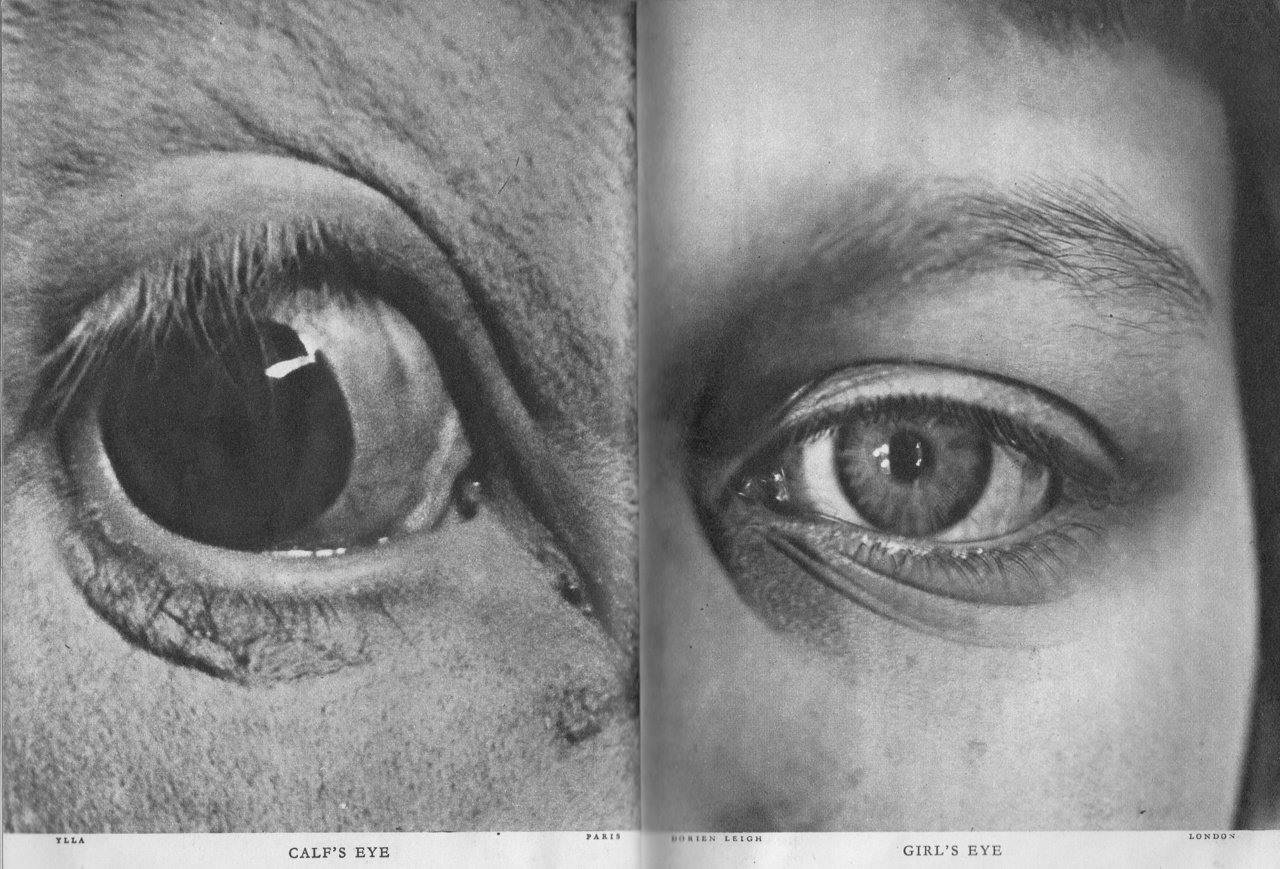 dvojstrana z foto/dizajnovej knihy Stefana Loranta. Calf’s eye. Photograph: Ylla (Camilla Koffler) / Girl’s eye. Photograph: Dorien Leigh