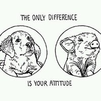 Jediným rozdielom je náš postoj.