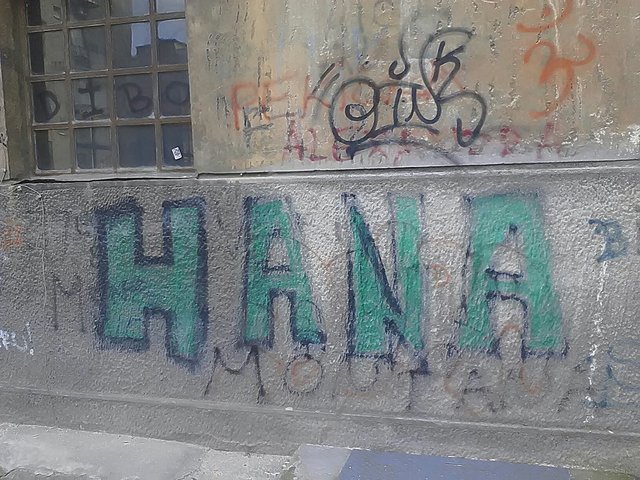 Hana montana