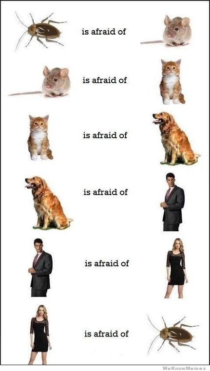'' The circle of fear '' :D :D