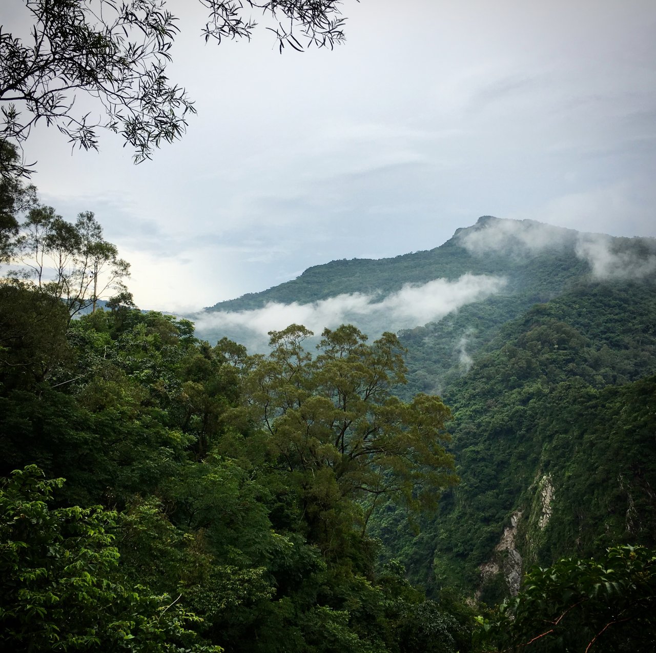 Niekde v Taiwanskych horach