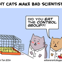 a toto je dôvod prečo mačky nemožu pracovať ako vedci.. :D 
