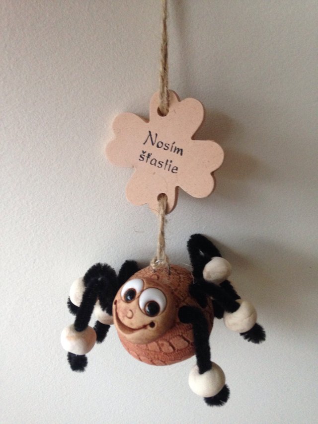 Birdz chcem sa s tebou podeliť o štastie! Tento pavúčik nosí šťastie a to znamená že kto z Vás ho uvidí bude mat šťastie! :3 Len mi ho nevykukajte! :D :D :D 