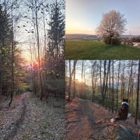 Tento mesiac som zabehol dokopy asi najviac za poslednych 10 rokov.. ako kombinacia trail - zapad slnka ma chytila :3