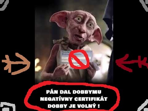 Pán dal Dobbymu negatívny certifikát. Dobby je voľný!!! Matovič sa priznal že pandemia je falošná a je to všetko podvod.