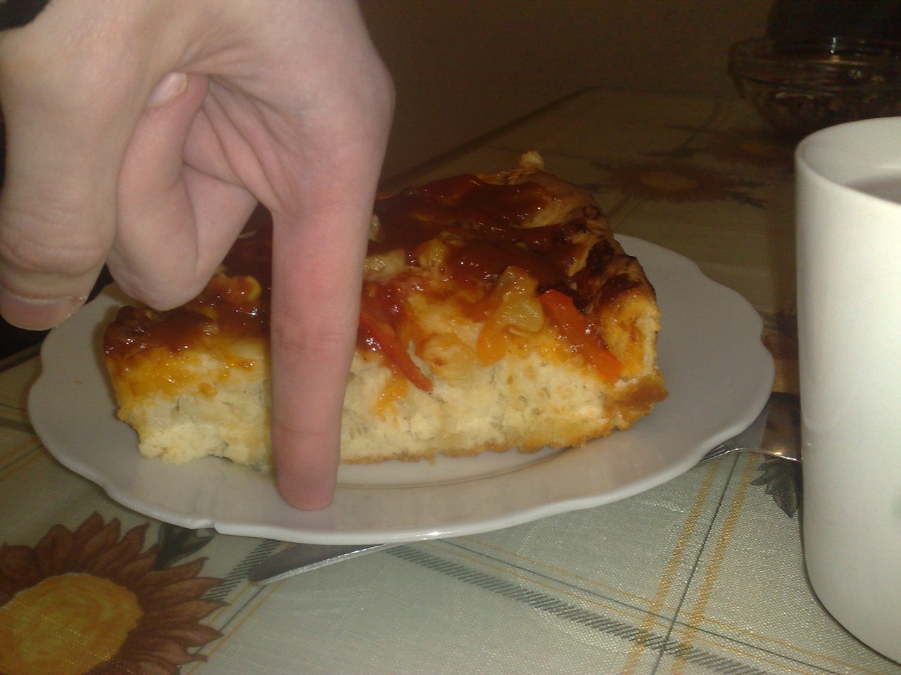 tak prehladávam externý hdd a našiel som exkluzívnu internátnu pizzu 2cm cesto,kečup,lečo! :D 