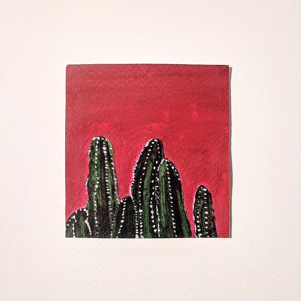 Kaktušteky