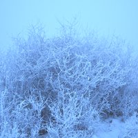 Ukážka z obrázkov v albume Zimné čaro 2016