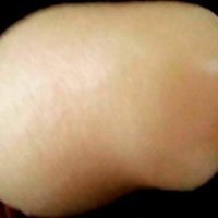 Embryo (Cocos nucifera)