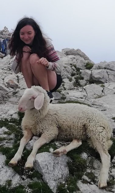 vrcholová ovečka