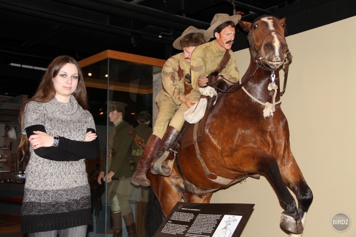 v Army and Navy museum v Calgary