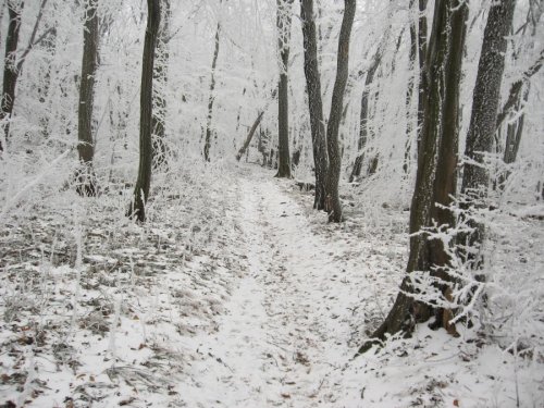 Bočná cesta (480m.n.m.)