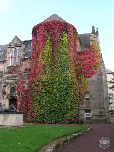 University of Aberdeen