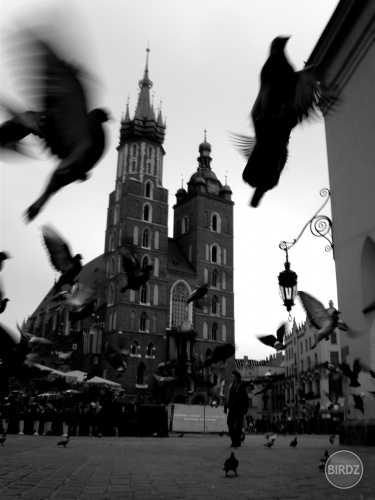 Krakow 2008