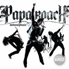 Papa roach