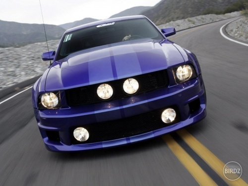 shelby 05