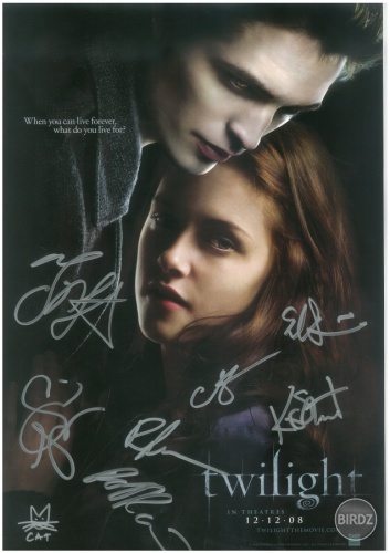 Twilight poster