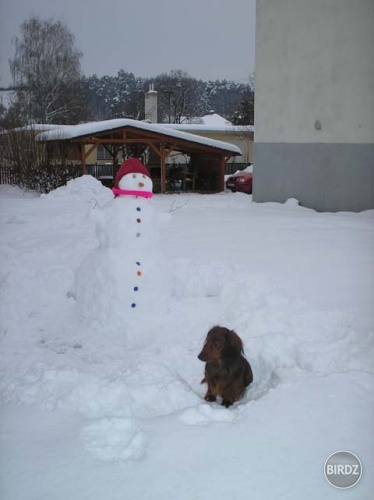 Ani sa nepohnem od neho...