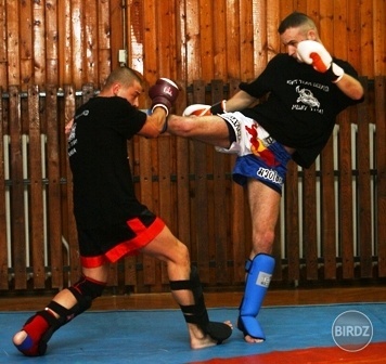 muay thai 