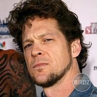 pán Newsted