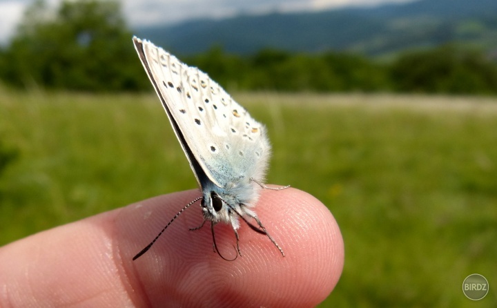 Obrázok