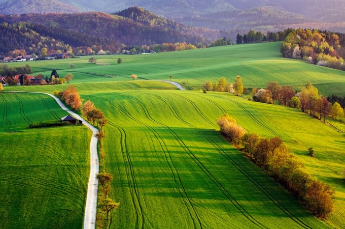 aaa