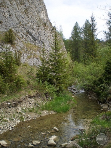 V  Poľsku - Rezerwat Biala Woda.. pešo až zo Slovenska