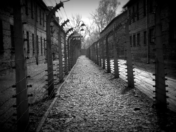 Auschwitz Birkenau 2012
