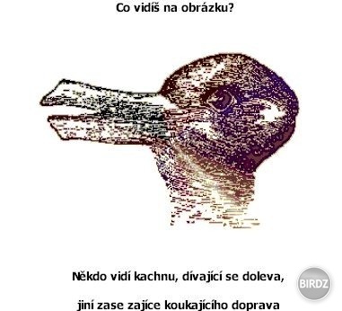 čo ste videli najprv vy?