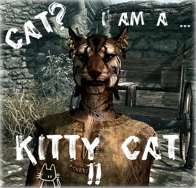 I AM A KITTY CAT!! :3 problem bro? :P