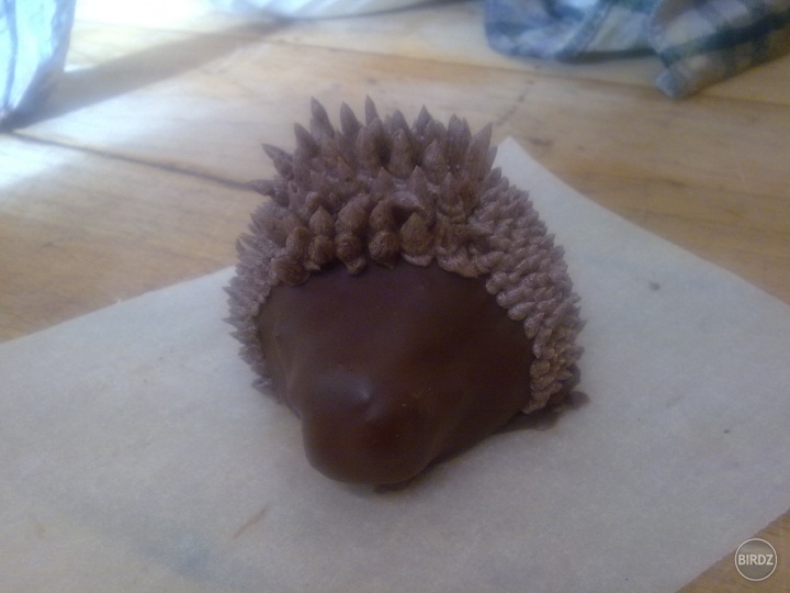 Môj punkáč ježko ešte nedokončený .. hh sme robili dneska na praxi jažkov :)