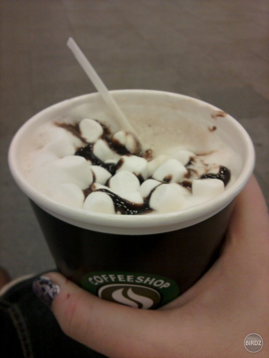 Marshmallow in hot cocoa