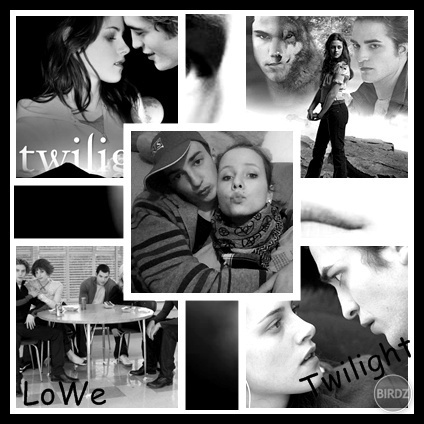 my and twilight 2