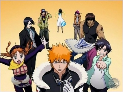 Bleach 11_003.jpg
Bleach 11_003