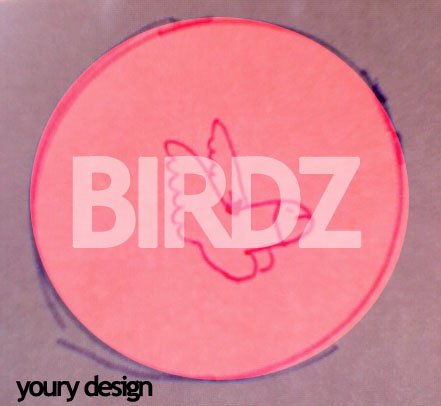 Refreshed BIRDZ logo :D