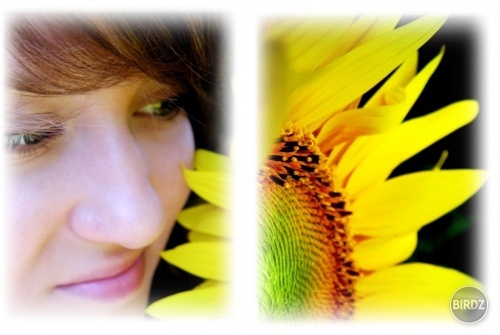 mirka and sunflower
