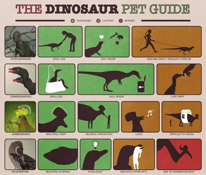 The Dinosaur Pet Guide