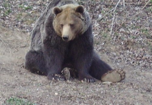 Aj prenho sa oplati vidiet tu uzasnu zoo :)