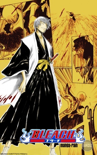 Bleach-13-08-Bonus1.jpg
Bleach-13-08-Bonus1