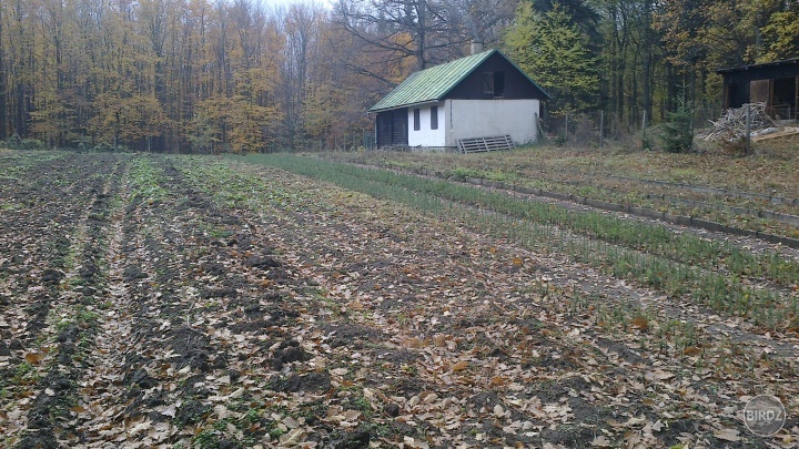 na praxi v škôlke:D