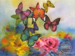 Butterflies :)